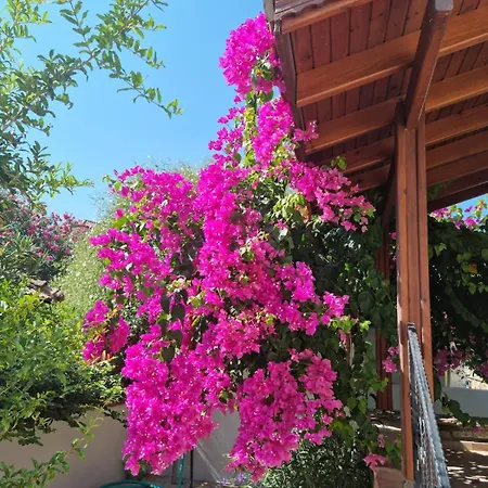 Perfect 4 Bed Dalyan With Pool Ortaca (Mugla)